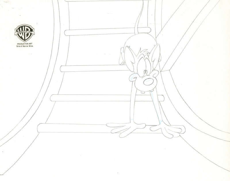 Pinky And The Brain Original Production Cel with Matching Drawing Signed by Tom Ruegger: Pinky, Brain