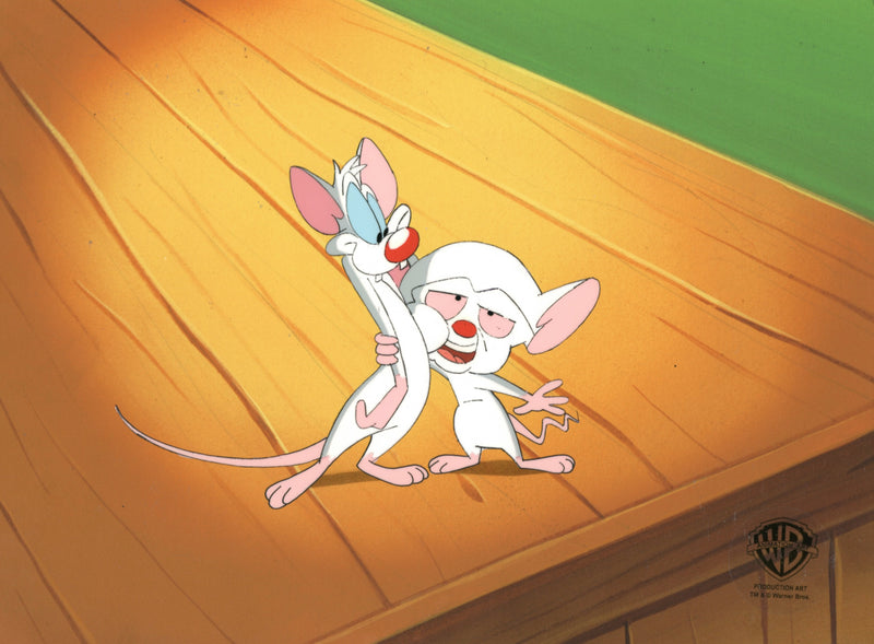 Pinky And The Brain Original Production Cel with Matching Drawing: Pinky, Brain