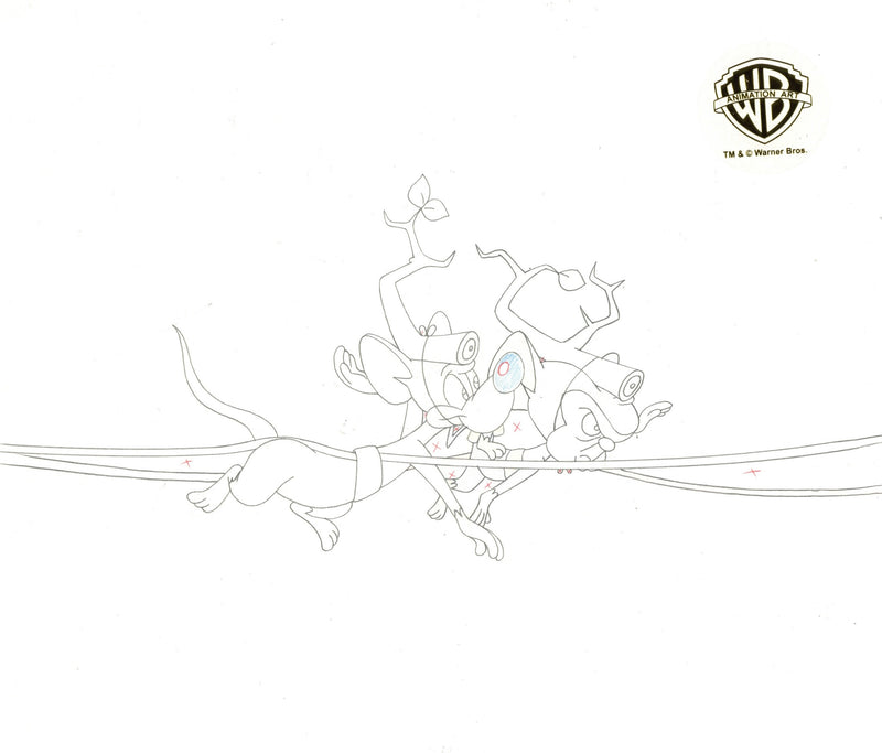 Pinky And The Brain Original Production Cel on Original Background with Matching Drawing: Pinky, Brain