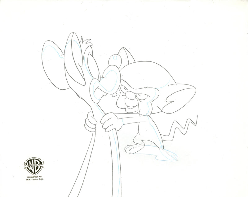 Pinky And The Brain Original Production Cel with Matching Drawing Signed by Tom Ruegger: Pinky, Brain