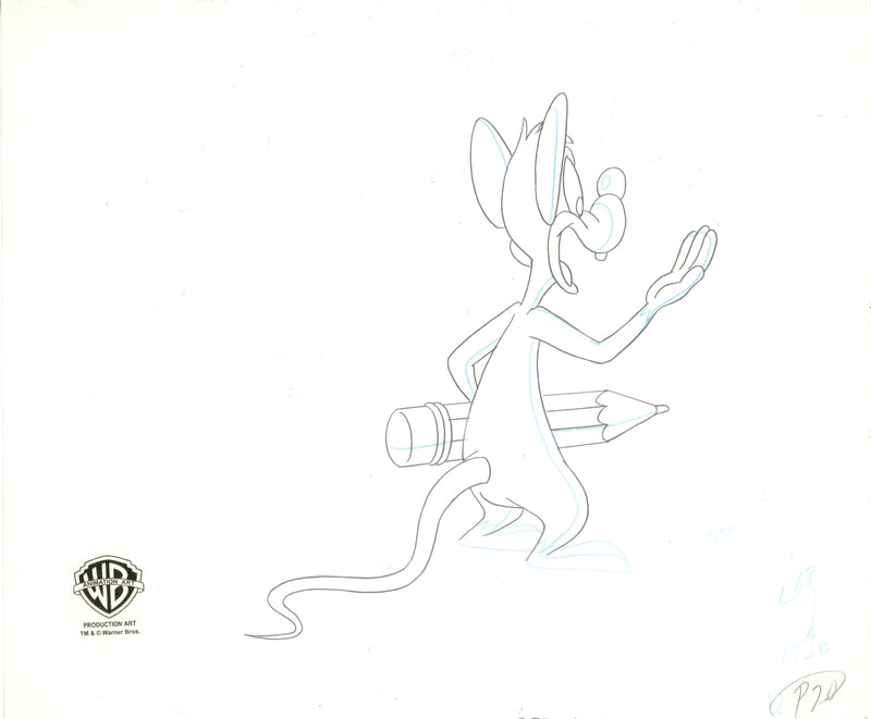 Pinky And The Brain Original Production Cel with Matching Drawing Signed by Tom Ruegger: Pinky, Brain