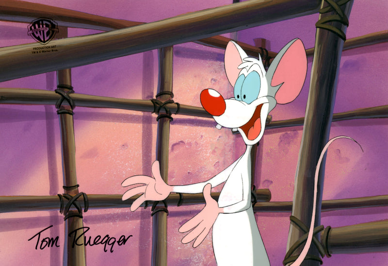 Pinky And The Brain Original Production Cel on Original Background Signed By Tom Ruegger: Pinky